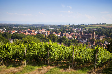 Fototapeta na wymiar WISSEMBOURG en Alsace (France)