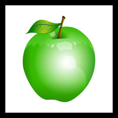 Green apple on white background vector illustration
