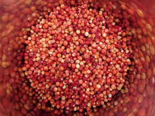 Red wild strawberries closeup
