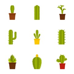 Cactus icon set, flat style