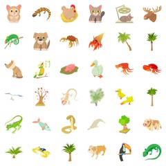 Plant icons set, cartoon style