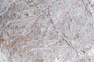 Frozen winter background