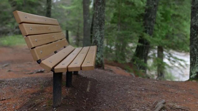 Relaxing Wilderness Benches