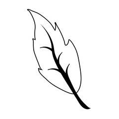 single leaf icon image vector illustration design black line