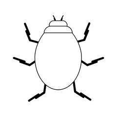 Fototapeta premium bug insect icon image vector illustration design black line