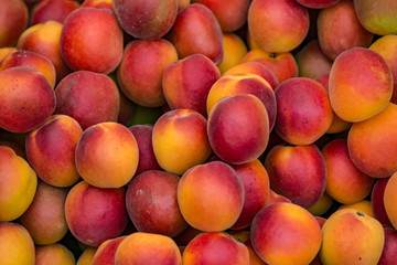 Nectarines for sale