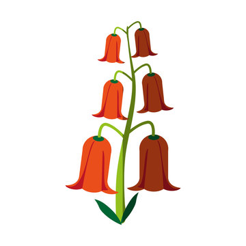 bell shape delicate flower icon image vector illustration design