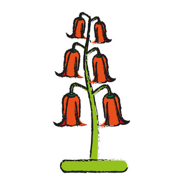 bell shape delicate flower icon image vector illustration design