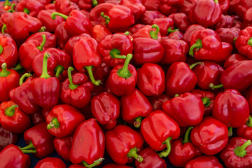 Red bell peppers for sale