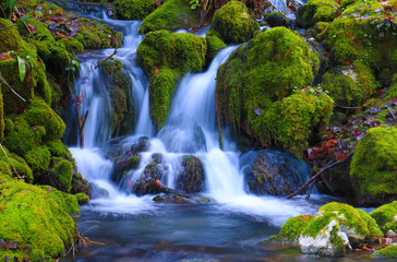 Mountain stream