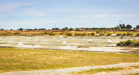 Traditional salt marsh of Noirmoutier during the salt harvest