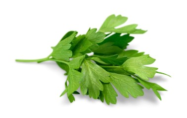 Herb.