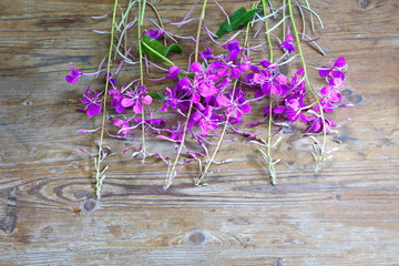 свежие цветы иван-чая на старой деревянной поверхности