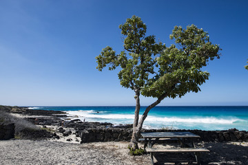 Fototapeta na wymiar KEKAHA KAI STATE PARK( Manini'owali Beach),Hawaii Island
