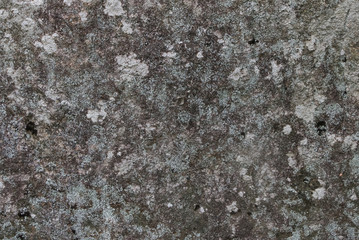 Mossy Stone Texture

