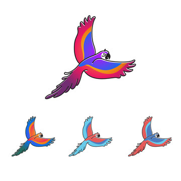 Macaw Parrot Bird Flying Colorful Vector Illustration