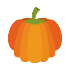 whole pumpkin icon image vector illustration design 