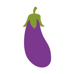 eggplant or aubergine vegetable icon image vector illustration design 