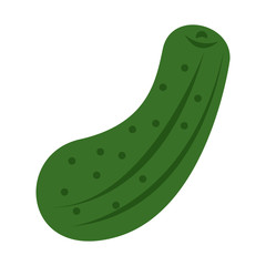 cucumber vegetable icon image vector illustration design 