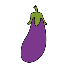 eggplant or aubergine vegetable icon image vector illustration design 