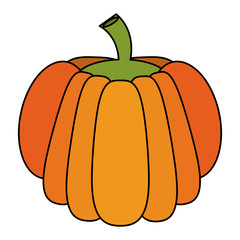 whole pumpkin icon image vector illustration design 