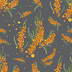 Fototapeta na wymiar Seabuckthorn vector seamless pattern. Abstract floral background.
