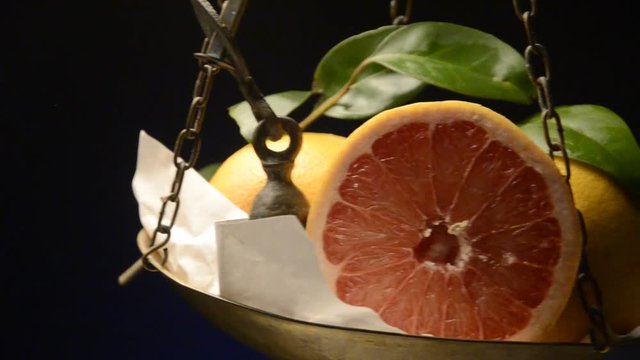 Citrus Lemoen Orange sinensis شجرة Arancio Naranča Appelsiinipuu Narancs 橙树 video Fruit Նարնջենի Agrume Апельсин Frutta برتقال Arancia Oranger 