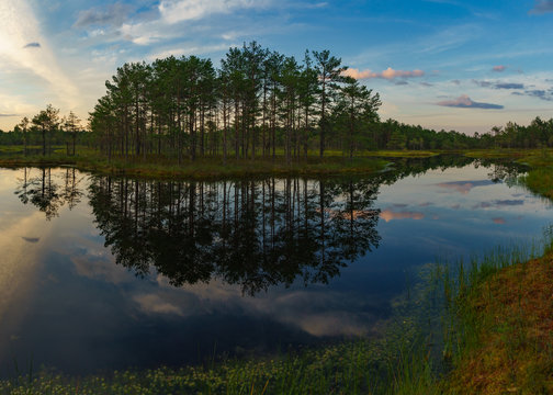 Wonderful sunset cky over Suru Suursoo bog, Estonia
