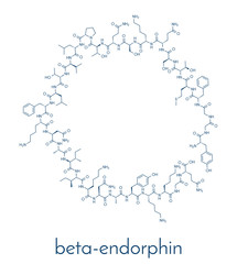 Beta-endorphin endogenous opioid peptide molecule. Skeletal formula.