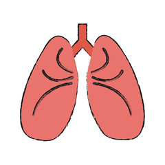 Colorful lungs doodle over white background vector illustration