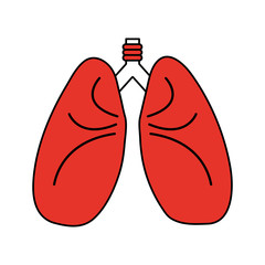 Flat line lungs with hint of color over white background vector illustration