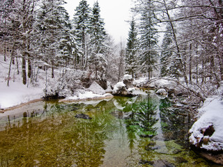 Winter reflections in a cold mountain stream, river Sava near lake Bohinj, Slovenian Alps, Slovenia