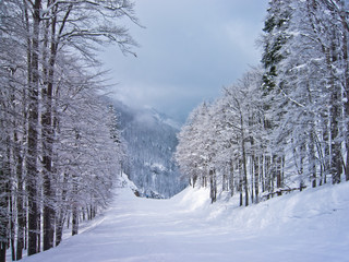 Foggy morning at mountains, mount Vogel, slovenian Alps, Slovenia