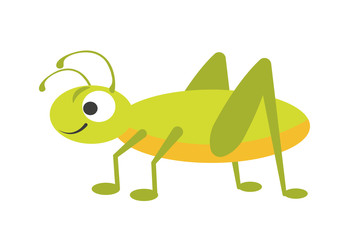 Funny vigorous grasshopper with big eye and long legs