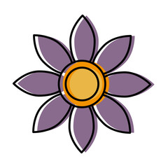 beautiful flower icon
