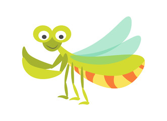 Big green mantis with huge eyes and long transparent wings