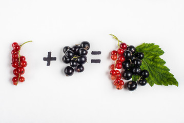 Black and red currant on grey background