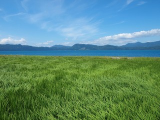 Fototapeta premium OLYMPUS DIGITAL CAMERA