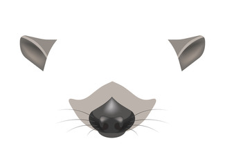 Raccoon animal face filter template video chat photo effect vector isolated icon