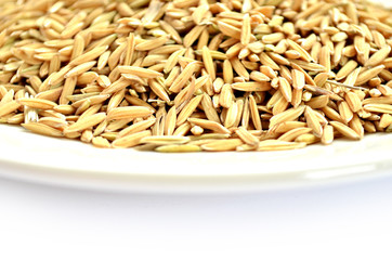 Cup of rice paddy background, Cup of rice on white background.