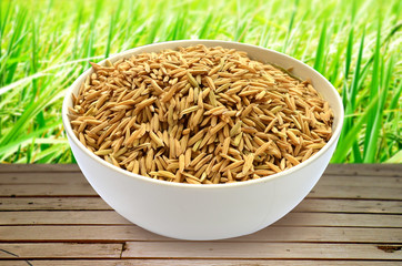 Cup of rice paddy on wood , Rice field background, paddy background. dry method of brown paddy rice seed.