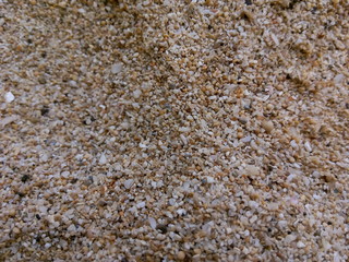 Sand Grains