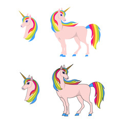 Unicorn, rainbow hair, set