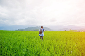 Naklejka na ściany i meble asian woman stand on rice field on morning in Pa Bong Pieng, Chiang Mai, Thailand.