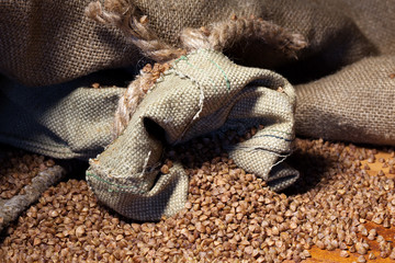 Buckwheat in sack bag scattered buckwheat