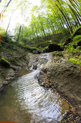 Malowniczy górski strumień w leśnej scenerii  jesienią