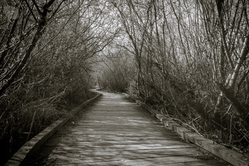 Hidden Path