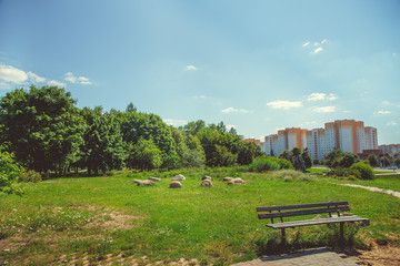 Park in the city center in sunny clear summer weather