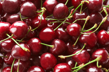 Fresh sweet cherries, closeup