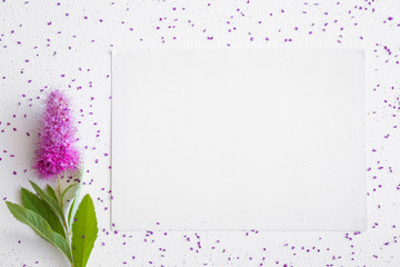 White blank greeting card with pink flower on the white background. Empty place for a text.